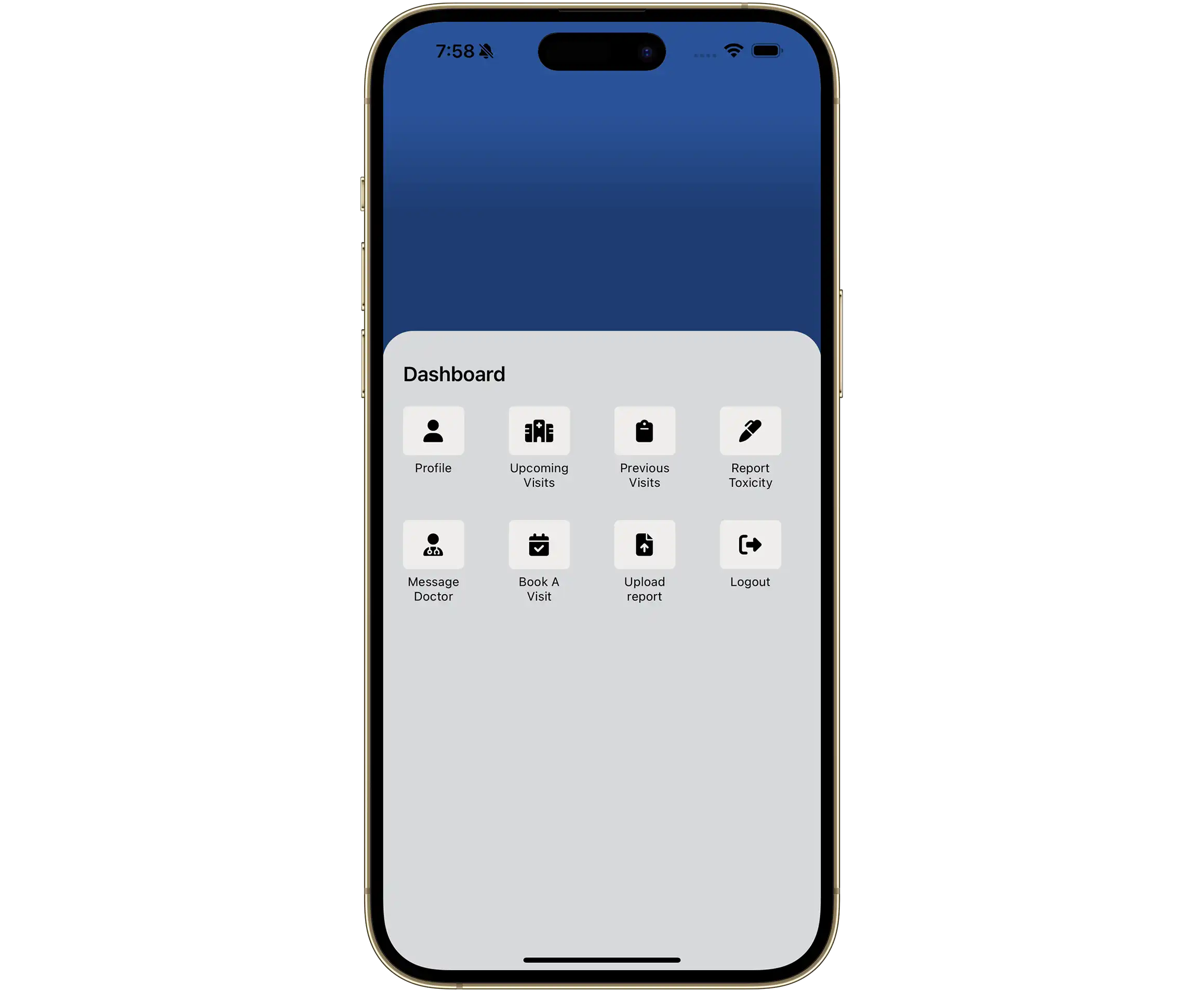 PulseDash Screenshot 2